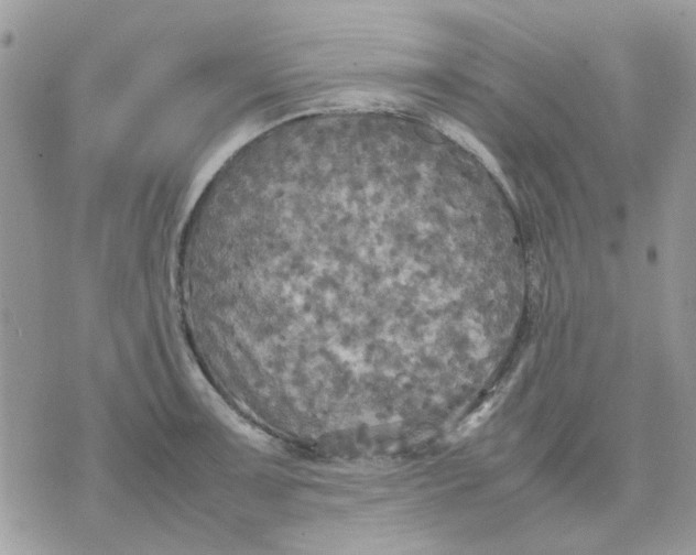 X0000075381091200609291545