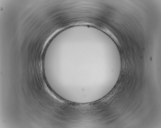 X0000075381092200609291545