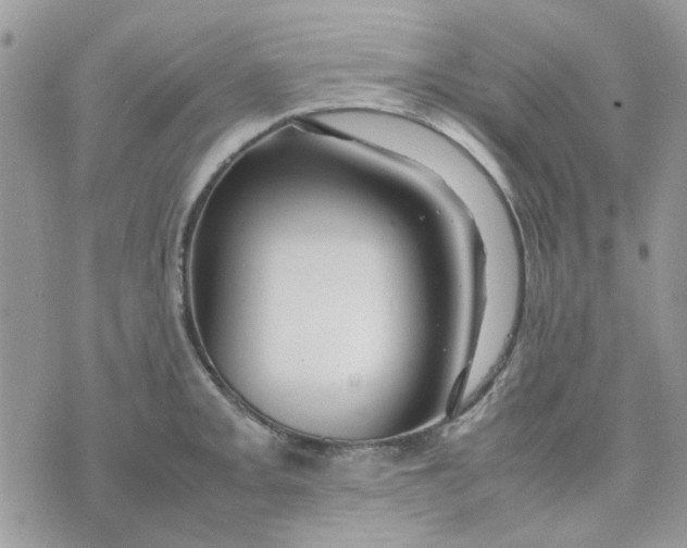 X0000075381093200609291545