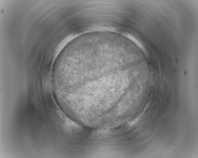 X0000075381094200609291545