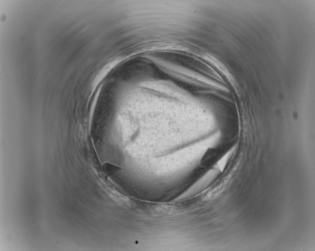 X0000075381097200609291545