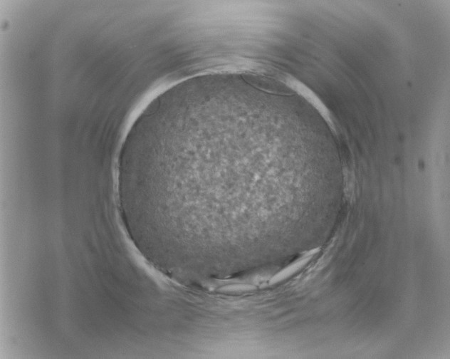 X0000075381099200609291545