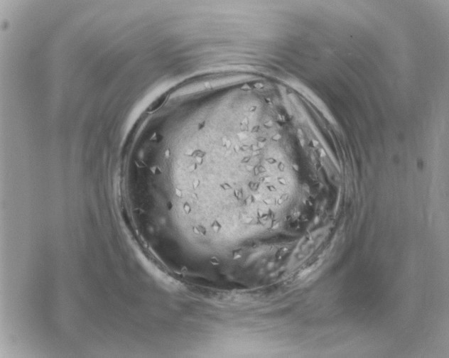 X0000075381101200609291545