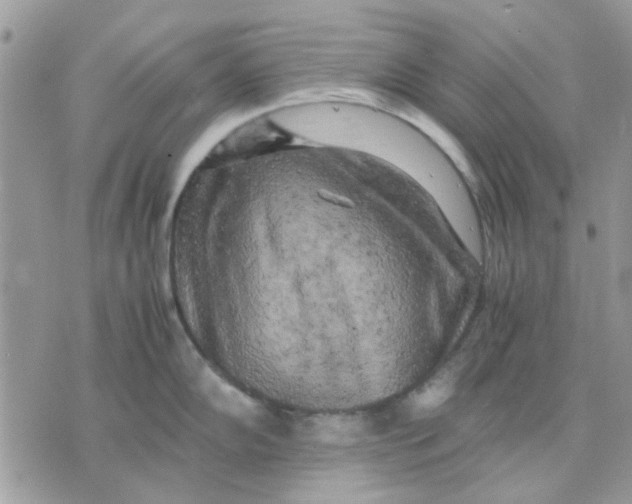 X0000075381102200609291545