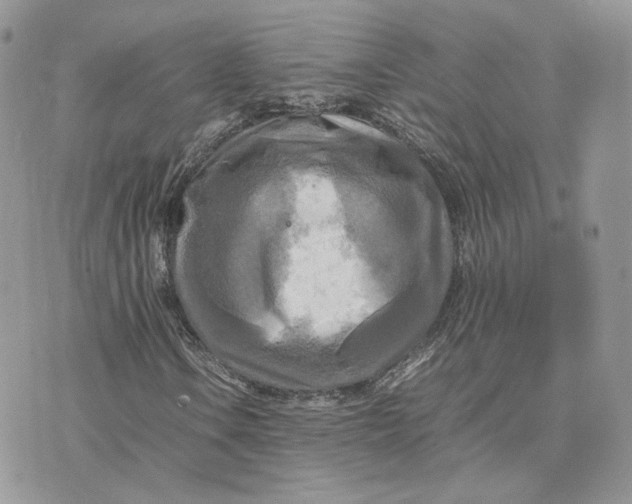 X0000075381106200609291544