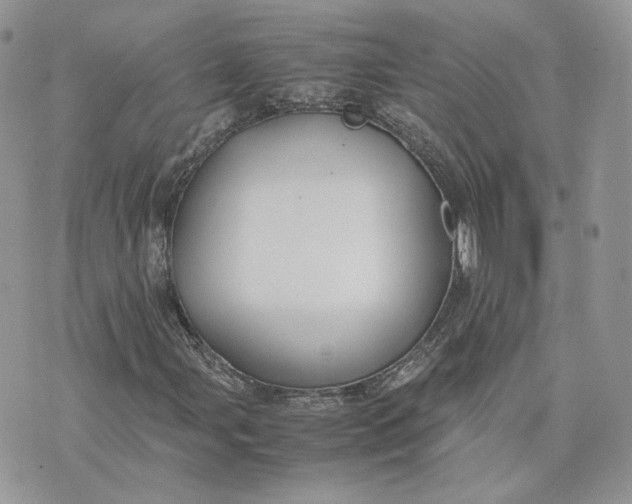 X0000075381107200609291544