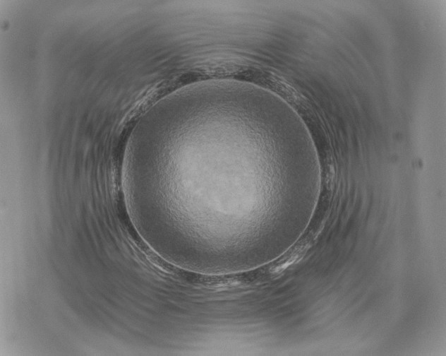 X0000075381108200609291544