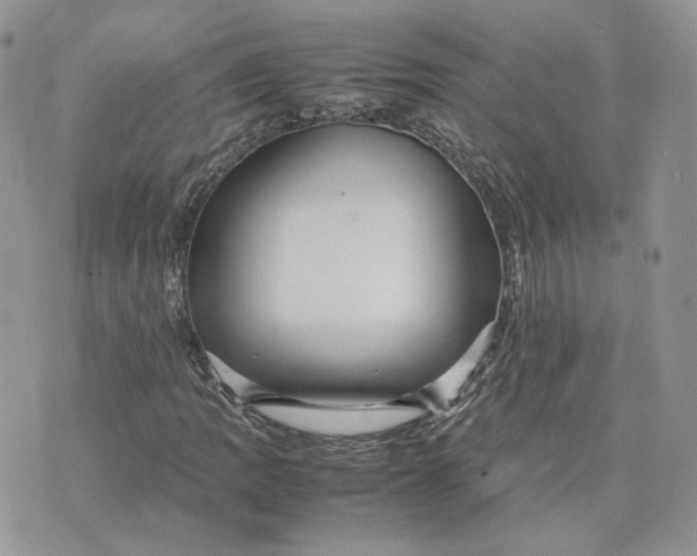 X0000075381109200609291544