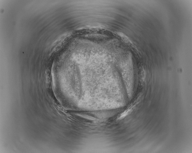 X0000075381110200609291544