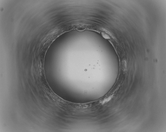 X0000075381111200609291544