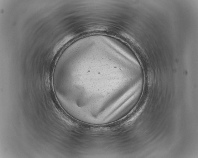 X0000075381113200609291544