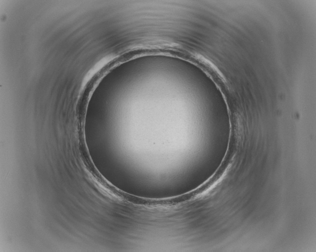 X0000075381114200609291544