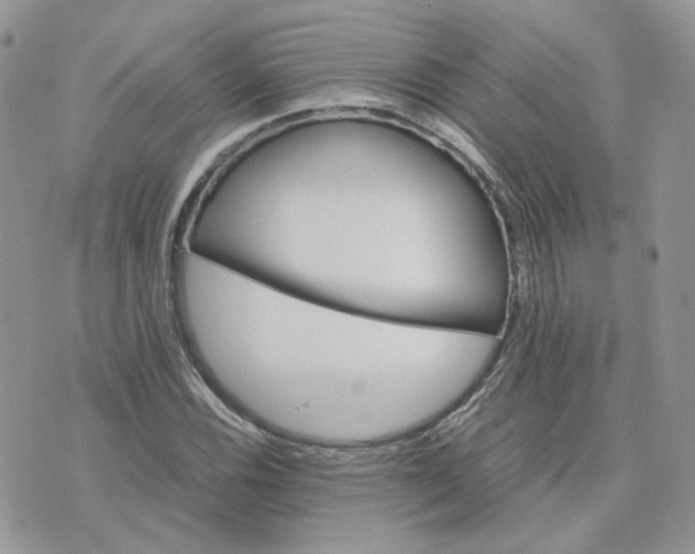 X0000075381116200609291544