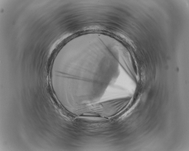 X0000075381117200609291544