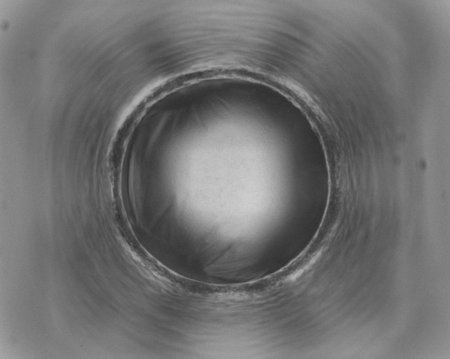 X0000075381118200609291544