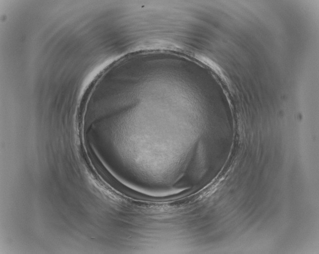 X0000075381120200609291544