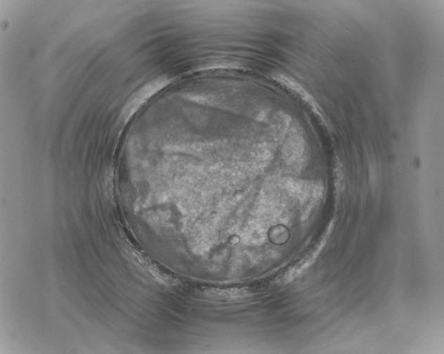 X0000075381121200609291544