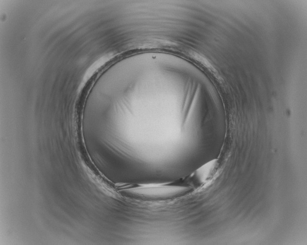 X0000075381122200609291544