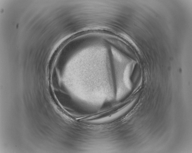 X0000075381124200609291544