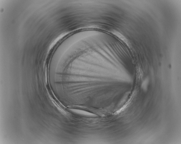 X0000075381127200609291544