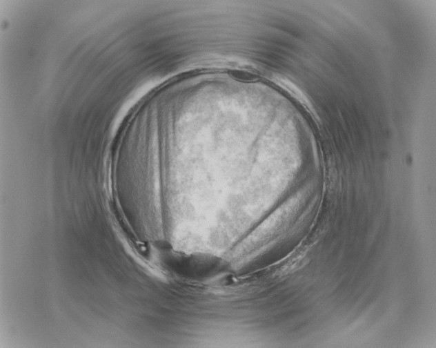 X0000075381128200609291544