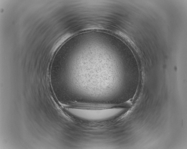 X0000075381129200609291544