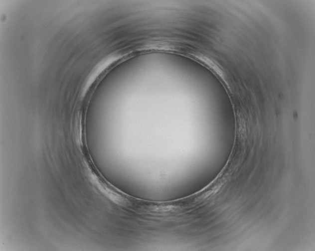 X0000075381131200609291544