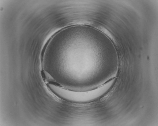 X0000075381132200609291544