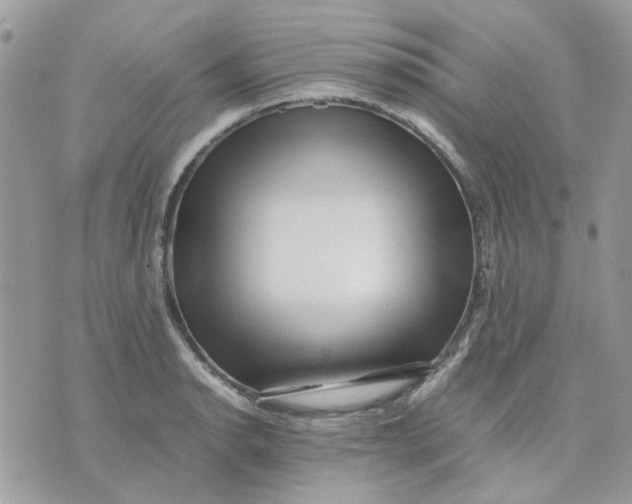 X0000075381134200609291544