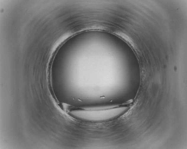 X0000075381135200609291544