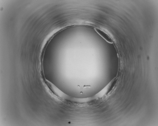 X0000075381136200609291544