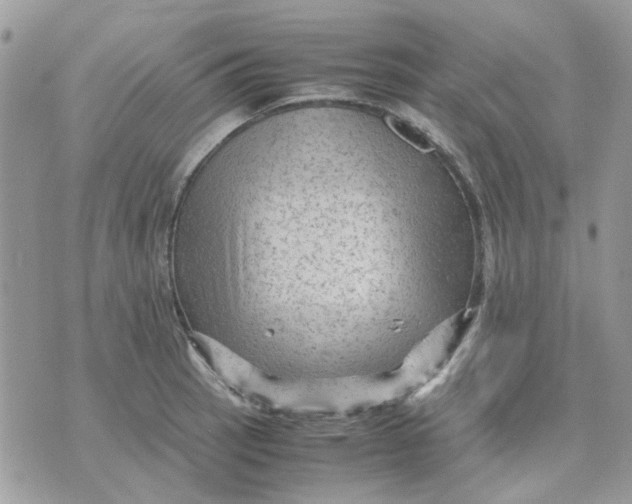 X0000075381137200609291544