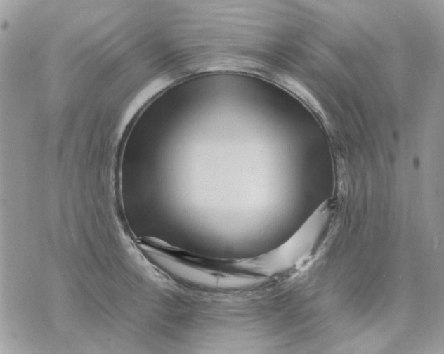 X0000075381138200609291544