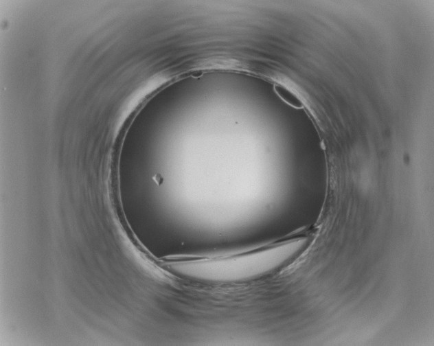 X0000075381139200609291544