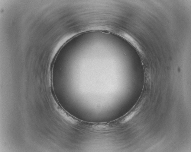 X0000075381140200609291544