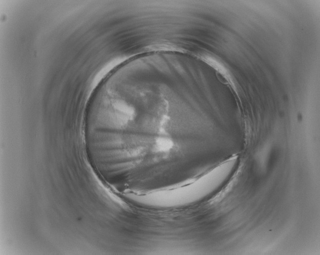 X0000075381141200609291544