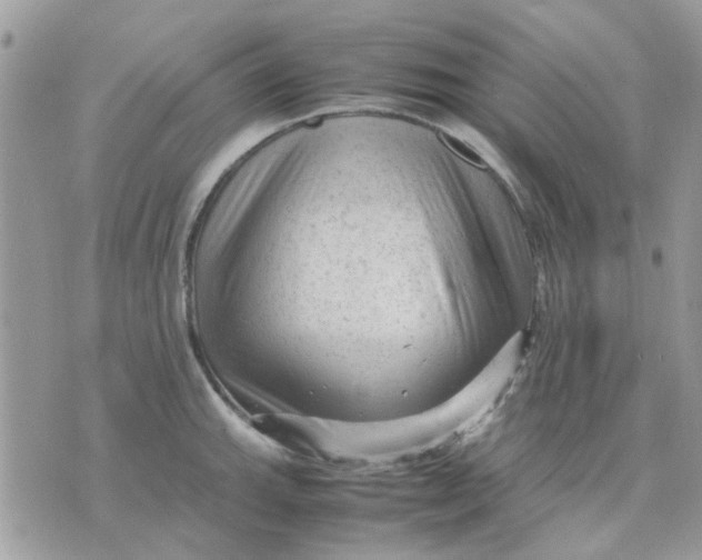 X0000075381143200609291544