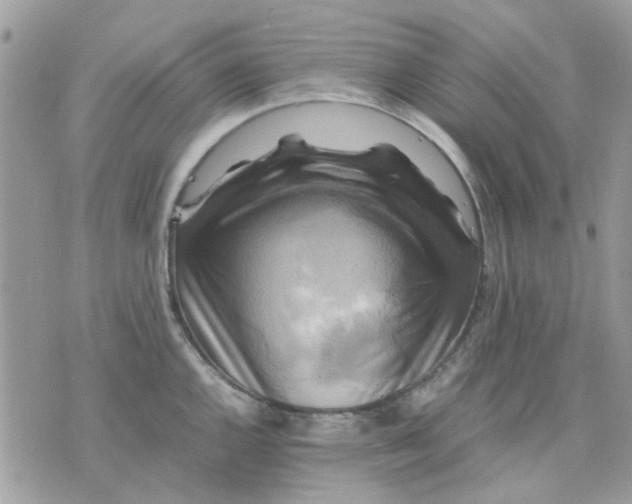 X0000075381144200609291544