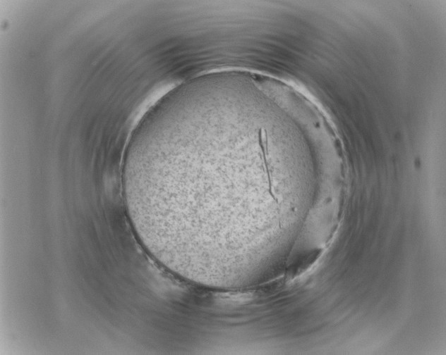 X0000075381145200609291544