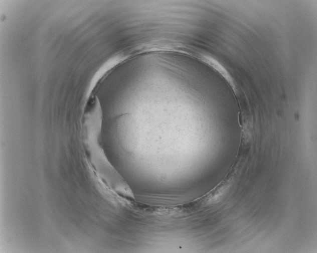 X0000075381146200609291544