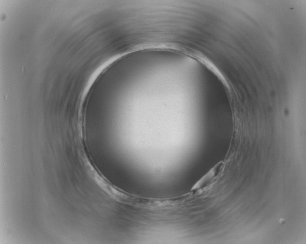 X0000075381148200609291544