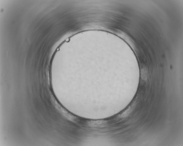 X0000075381150200609291544