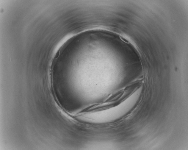 X0000075381151200609291544