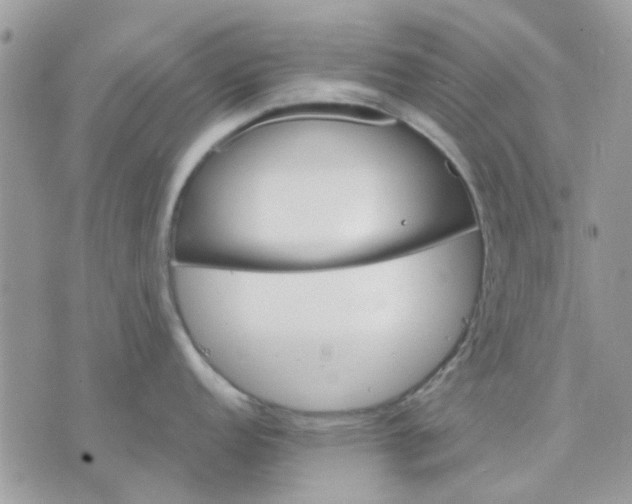 X0000075381152200609291544