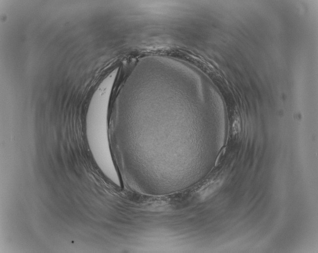 X0000075381156200609291544