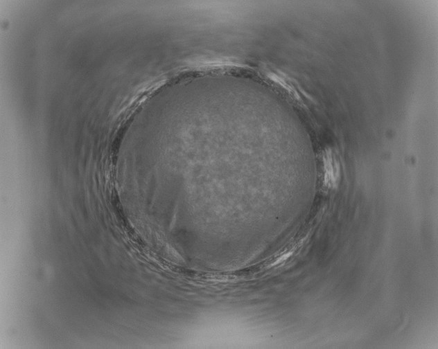 X0000075381157200609291544