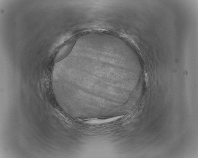 X0000075381159200609291544