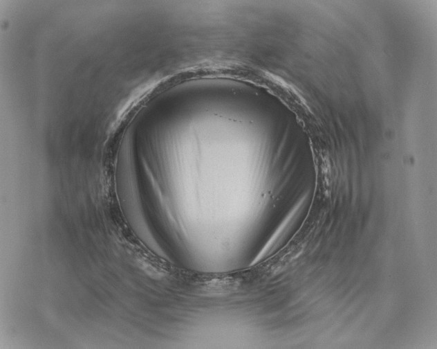 X0000075381160200609291544