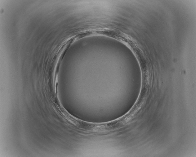 X0000075381161200609291544