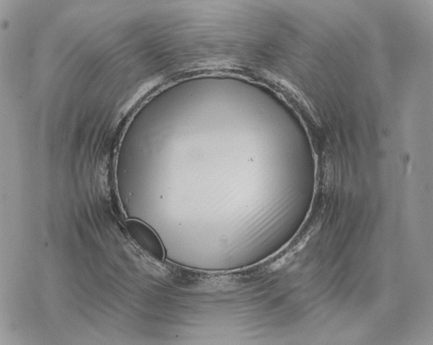 X0000075381162200609291544